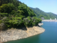 IMG_8584.jpg