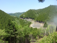 P1060813.JPG