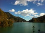 IMG_8226.jpg