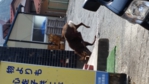 20150315_114453.jpg