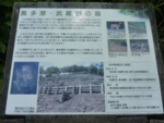 P1090380.JPG